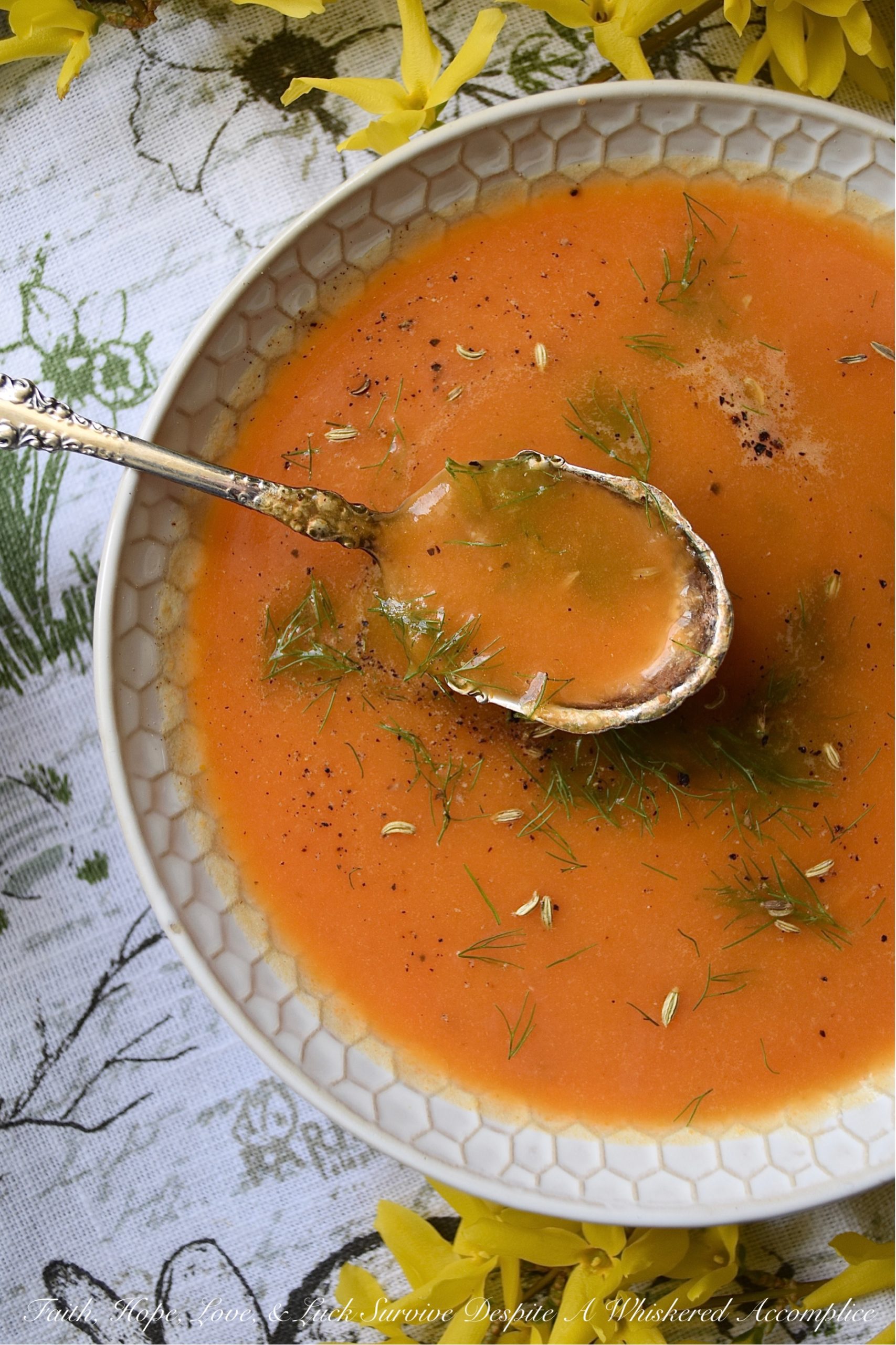 Carrot & Fennel Soup with Homemade Stock