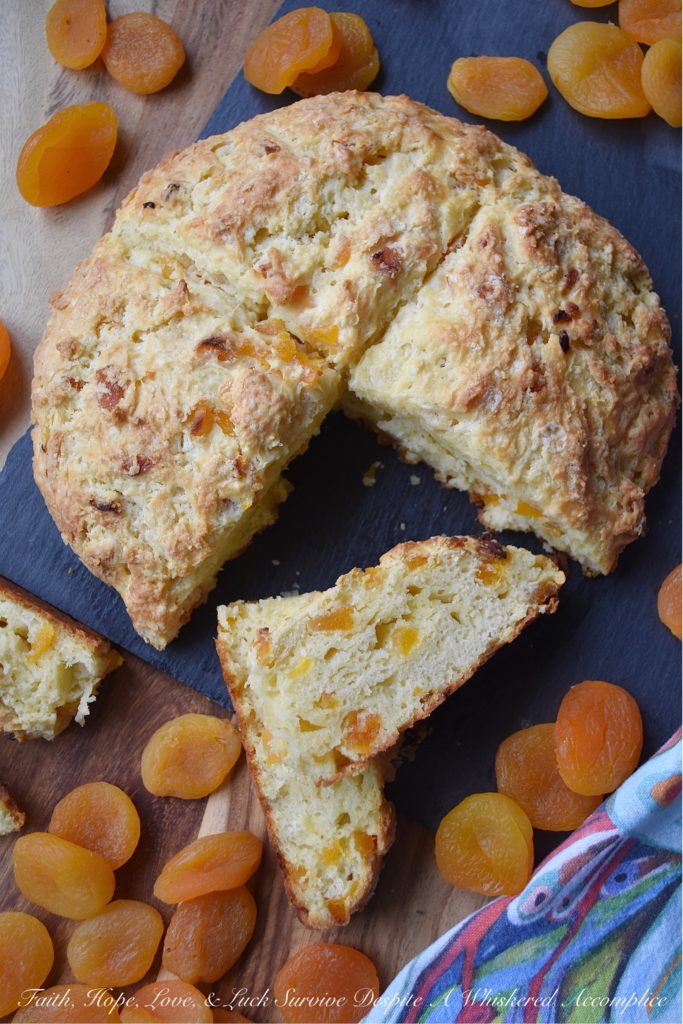Buttery Apricot Buttermilk Soda Bread - This buttery apricot soda bread isn't just for St. Patrick's Day, it's a loaf of bread you can enjoy on any day of the year. And, I think that you'll find that soda bread is one of the easiest types of bread you will ever make, as well as one of the most delicious. Add in a generous dose of butter, dried apricots, and a little bit of buttermilk, and you've got a loaf of bread that definitely won't stick around long.
