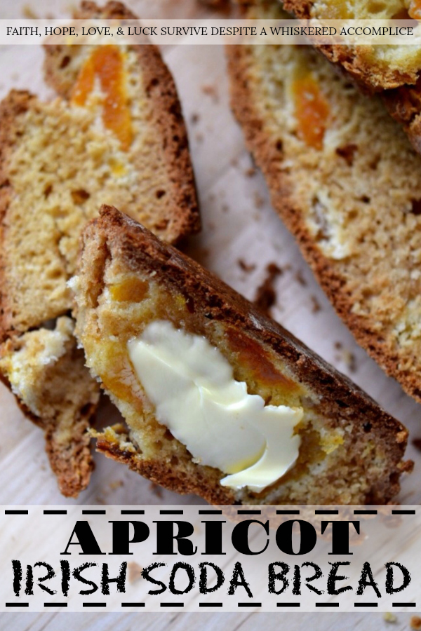 Apricot Irish Soda Bread - Dried apricots and a touch of Irish whiskey transform basic soda bread into something slightly sweet and delicious. Whether you choose to serve this on St. Patrick's Day or on any other day of the year, it's sure to disappear quickly.