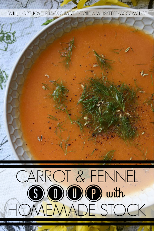 Carrot & Fennel Soup with Homemade Stock - The next time you buy a rotisserie chicken at your local market, make sure to save the skin and the bones to make this delicious soup, made with homemade stock. One small bulb of fennel, a couple of carrots, and a few spices and seasonings are all it takes to make this comforting budget-friendly meal. Add a grilled cheese sandwich on the side, and dinner is served.