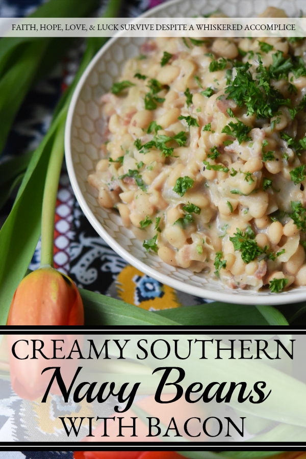 Creamy Southern Navy Beans with Bacon - While these creamy navy beans with bacon may take a little bit of time to make, either on a stovetop or with the help of a pressure cooker, they are more than worth the effort. I guarantee you're totally gonna fall in love with this flavorful southern side dish.