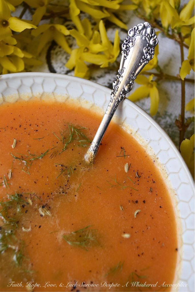 Carrot & Fennel Soup with Homemade Stock - The next time you buy a rotisserie chicken at your local market, make sure to save the skin and the bones to make this delicious soup, made with homemade stock. One small bulb of fennel, a couple of carrots, and a few spices and seasonings are all it takes to make this comforting budget-friendly meal. Add a grilled cheese sandwich on the side, and dinner is served.