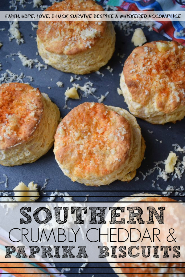 Southern Crumbly Cheddar & Paprika Biscuits - These homemade southern biscuits pack quite the flavor wallop, thanks to a little bit of ground paprika and finely grated cheddar cheese. And we're not talking any ordinary cheddar cheese either, we're talking crumbly extra sharp cheddar cheese. If you're a true cheese aficionado, then you're definitely going to love these delicious, buttery, cheesy biscuits.
