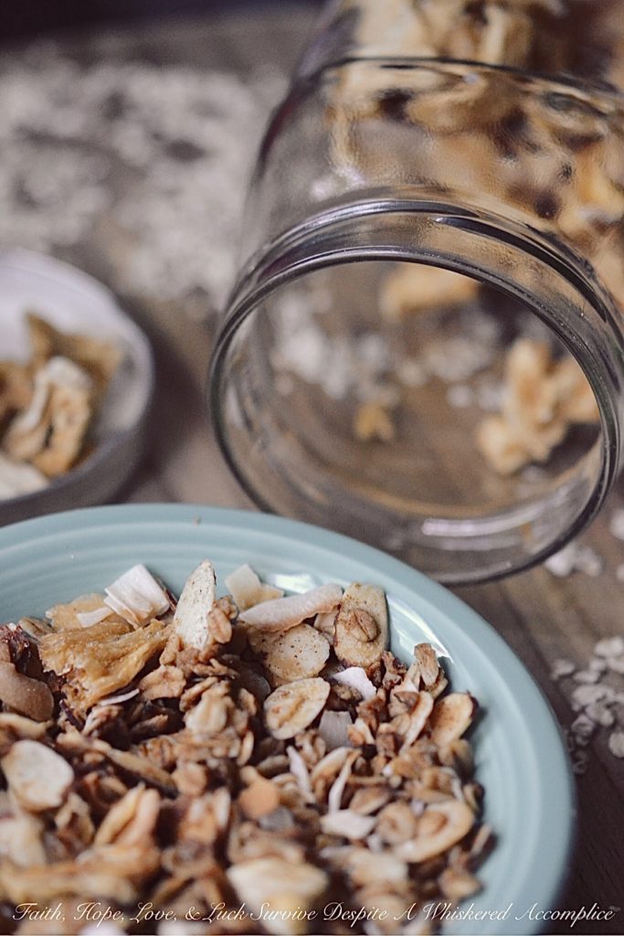 Take Me to the Islands Homemade Granola - Granola can be pretty expensive to buy at your local market or grocery store, and it can also be a bit expensive to make from scratch, depending on which ingredients you decide to include. However, homemade granola tastes so amazing and is definitely worth the ingredient splurge, especially if you're making this tropical island version. Eating it is like taking a mini weekday vacation to the islands.