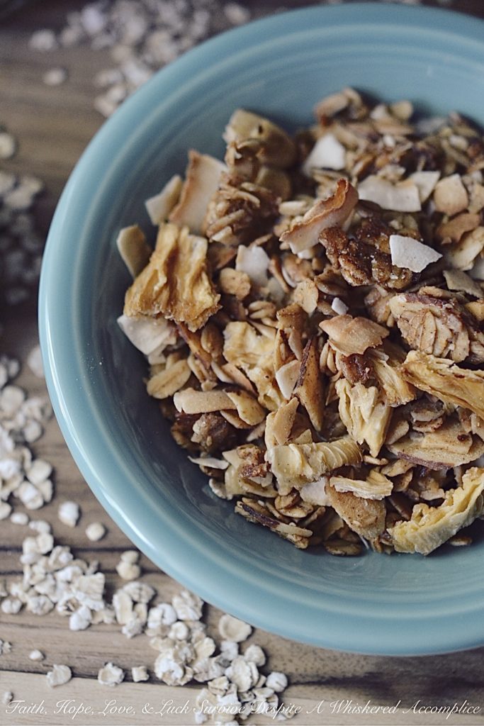 Take Me to the Islands Homemade Granola - Granola can be pretty expensive to buy at your local market or grocery store, and it can also be a bit expensive to make from scratch, depending on which ingredients you decide to include. However, homemade granola tastes so amazing and is definitely worth the ingredient splurge, especially if you're making this tropical island version. Eating it is like taking a mini weekday vacation to the islands.