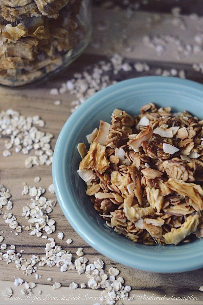 Take Me to the Islands Homemade Granola - Granola can be pretty expensive to buy at your local market or grocery store, and it can also be a bit expensive to make from scratch, depending on which ingredients you decide to include. However, homemade granola tastes so amazing and is definitely worth the ingredient splurge, especially if you're making this tropical island version. Eating it is like taking a mini weekday vacation to the islands.