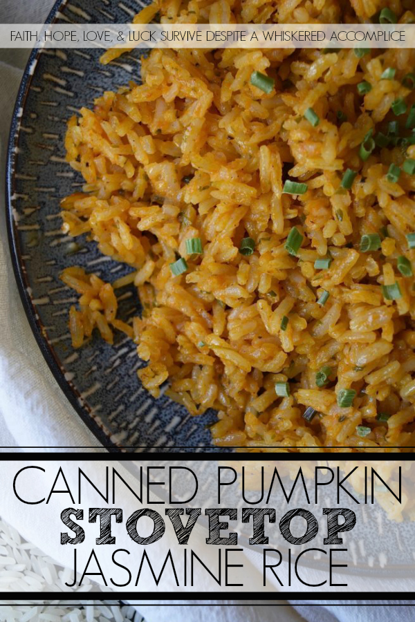 Canned Pumpkin Stovetop Jasmine Rice - Tired of plain rice for dinner? If so, try adding some canned pumpkin to it. A little bit of pumpkin, some stock or broth, and a few simple seasonings are all it takes to make a delicious side dish your entire family will enjoy. This is one jasmine rice recipe you'll find yourself making over and over again.
