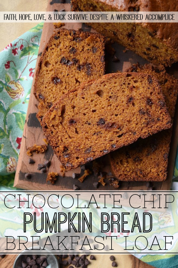 Chocolate Chip Pumpkin Bread Breakfast Loaf - Have you ever opened a can of pumpkin and found yourself not using the entire can in a recipe? What do you do with the leftover pumpkin? Make pumpkin bread, of course. A soft, moist, and sweet breakfast pumpkin bread loaf, studded with miniature semi-sweet chocolate chips. Add a banana and a cup of tea or coffee and breakfast is served.