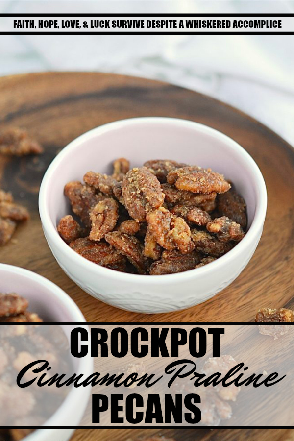 Crockpot Cinnamon Praline Pecans - Praline pecans are perfect as a snack alone, but they also go great in and on baked desserts. This simple crockpot method of cooking them makes them easy to have on any day of the week.