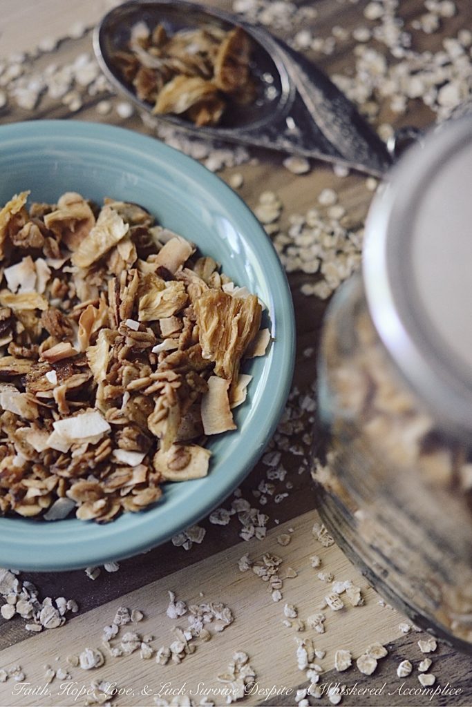 Take Me to the Islands Homemade Granola - Granola can be pretty expensive to buy at your local market or grocery store, and it can also be a bit expensive to make from scratch, depending on which ingredients you decide to include. However, homemade granola tastes so amazing and is definitely worth the ingredient splurge, especially if you're making this tropical island version. Eating it is like taking a mini weekday vacation to the islands.