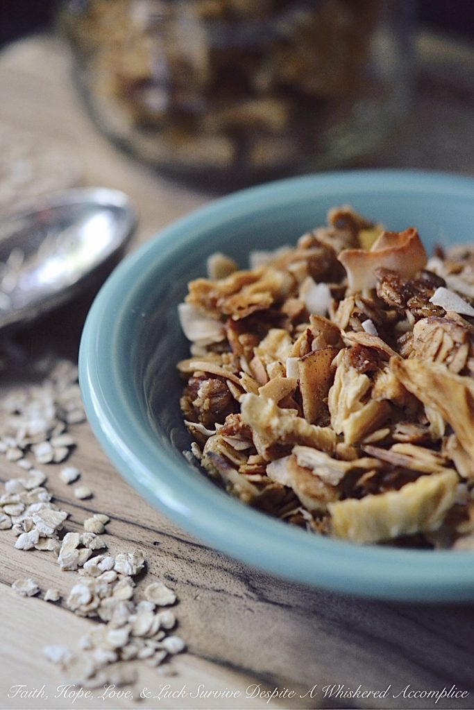 Take Me to the Islands Homemade Granola - Granola can be pretty expensive to buy at your local market or grocery store, and it can also be a bit expensive to make from scratch, depending on which ingredients you decide to include. However, homemade granola tastes so amazing and is definitely worth the ingredient splurge, especially if you're making this tropical island version. Eating it is like taking a mini weekday vacation to the islands.