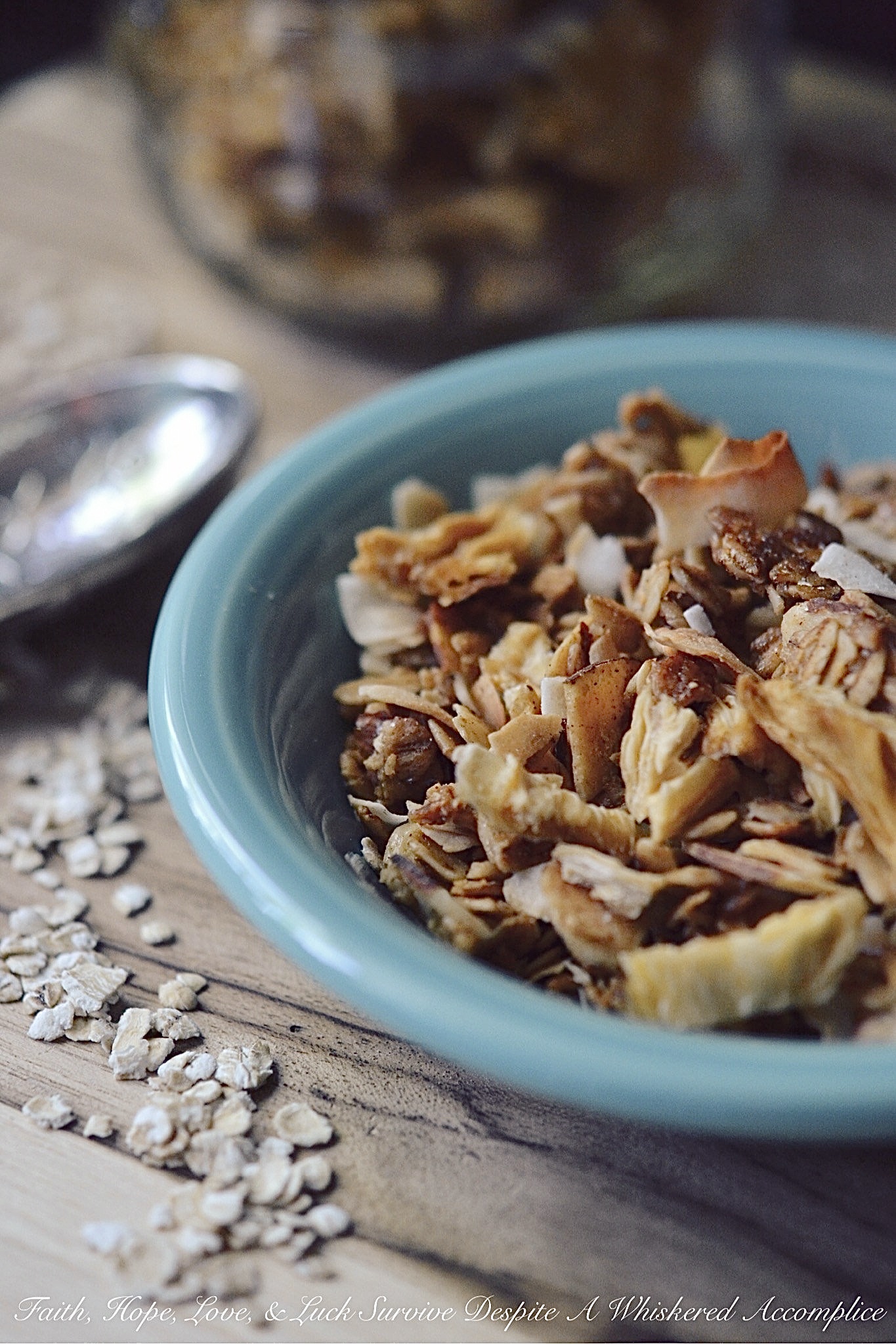 Take Me to the Islands Homemade Granola