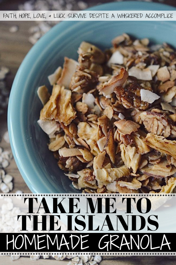 Take Me to the Islands Homemade Granola - Granola can be pretty expensive to buy at your local market or grocery store, and it can also be a bit expensive to make from scratch, depending on which ingredients you decide to include. However, homemade granola tastes so amazing and is definitely worth the ingredient splurge, especially if you're making this tropical island version. Eating it is like taking a mini weekday vacation to the islands.