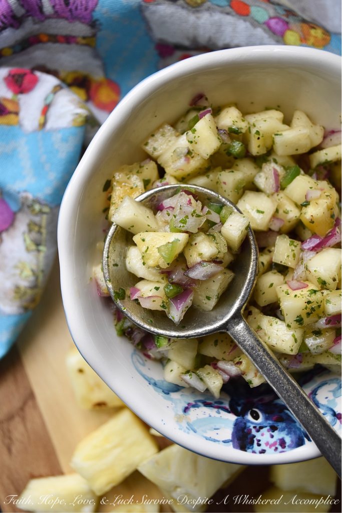 Sweet & Tangy Pineapple Red Onion Salsa - Fresh pineapple and finely diced red onion give this homemade salsa a flavor you won't soon forget. The next time you find yourself craving Mexican food, this is definitely the recipe you need to try. Whether served with chips, alongside fajitas, or on top of tacos, this sweet and tangy salsa will win you over at first bite.