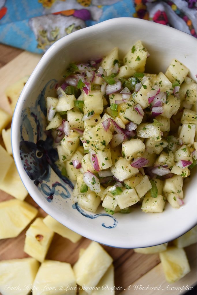 Sweet & Tangy Pineapple Red Onion Salsa - Fresh pineapple and finely diced red onion give this homemade salsa a flavor you won't soon forget. The next time you find yourself craving Mexican food, this is definitely the recipe you need to try. Whether served with chips, alongside fajitas, or on top of tacos, this sweet and tangy salsa will win you over at first bite.