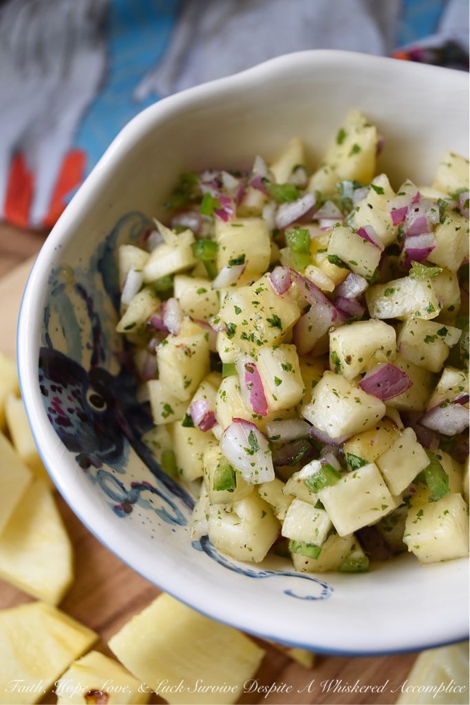 Sweet & Tangy Pineapple Red Onion Salsa - Fresh pineapple and finely diced red onion give this homemade salsa a flavor you won't soon forget. The next time you find yourself craving Mexican food, this is definitely the recipe you need to try. Whether served with chips, alongside fajitas, or on top of tacos, this sweet and tangy salsa will win you over at first bite.