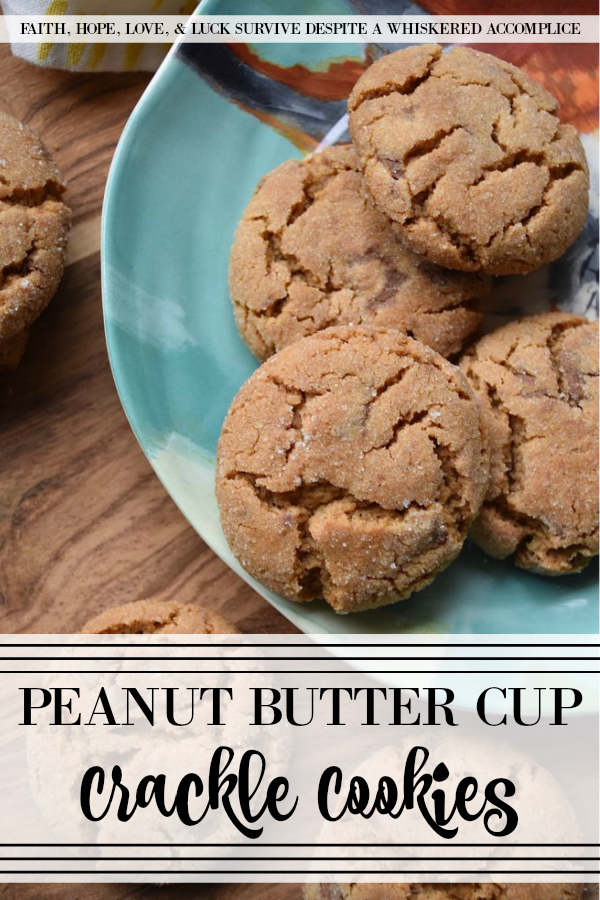 Peanut Butter Cup Crackle Cookies - These sweet cookies are similar to your favorite holiday peanut butter crackle cookies, with an added peanut butter and chocolate treat mixed in. I think you'll find that the addition of chopped peanut butter cups helps make this family favorite cookie even better than the classic original.
