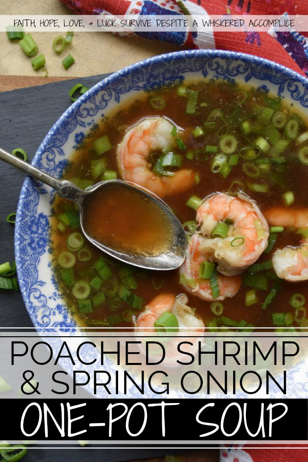 Poached Shrimp & Spring Onion One-Pot Soup - This one-pot, healthy, seafood and fresh vegetable soup is basically like eating a bowl of wonton soup without the wontons. And since this simple, quick to make, Asian-inspired soup is full of poached shrimp and chopped spring onions, you won't even mind the fact that the wontons are missing.