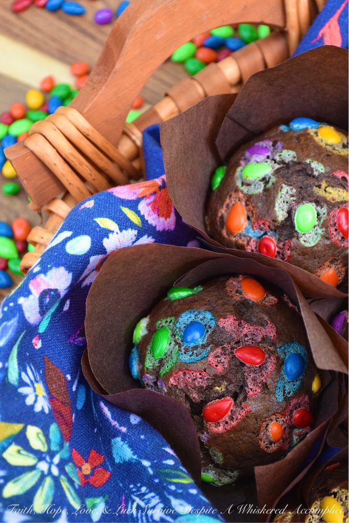 Chocolate Sunflower Seed Breakfast Muffins - Sometimes you just need a little chocolate in your life, even if it's for breakfast. These chocolate breakfast muffins, filled with chocolate-covered sunflower seeds, are just sweet enough to make you feel like you're having a special early morning treat, without making you crazy-guilty for eating chocolate before 9:00 AM.