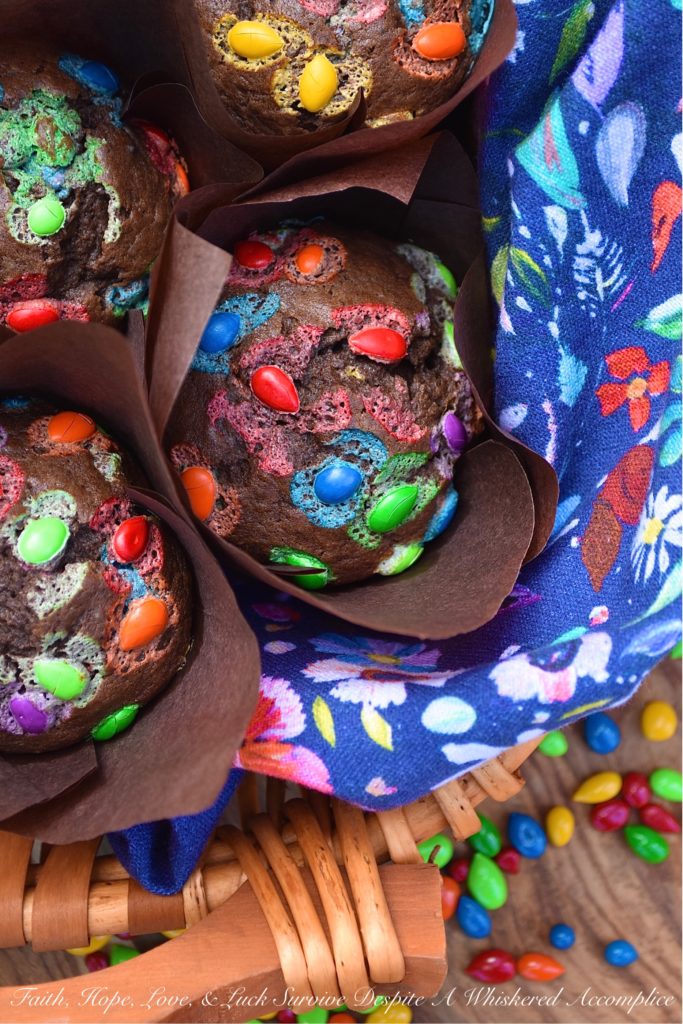 Chocolate Sunflower Seed Breakfast Muffins - Sometimes you just need a little chocolate in your life, even if it's for breakfast. These chocolate breakfast muffins, filled with chocolate-covered sunflower seeds, are just sweet enough to make you feel like you're having a special early morning treat, without making you crazy-guilty for eating chocolate before 9:00 AM.