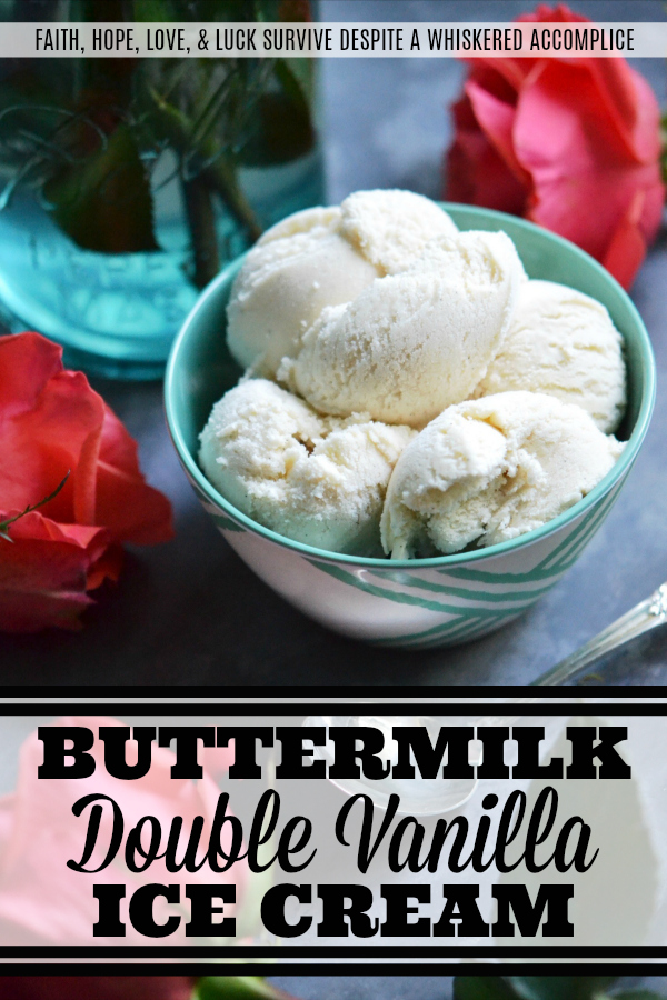 Buttermilk Double Vanilla Ice Cream - It's about time plain ol' vanilla ice cream got spiced up a bit. Buttermilk and two types of vanilla make this ice cream stand out, making it nearly impossible to put the spoon down.