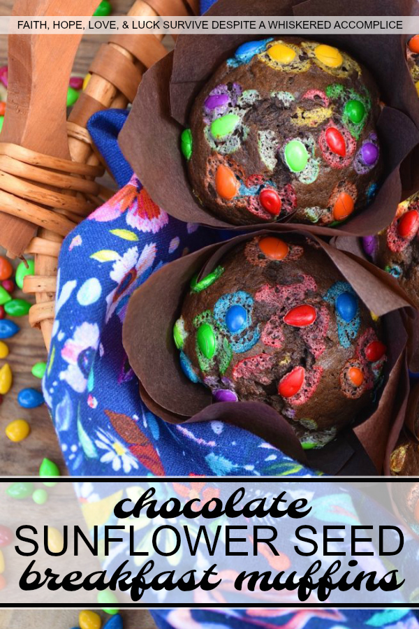 Chocolate Sunflower Seed Breakfast Muffins - Sometimes you just need a little chocolate in your life, even if it's for breakfast. These chocolate breakfast muffins, filled with chocolate-covered sunflower seeds, are just sweet enough to make you feel like you're having a special early morning treat, without making you crazy-guilty for eating chocolate before 9:00 AM.