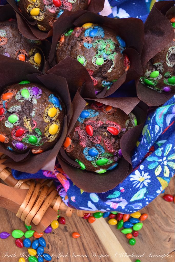 Chocolate Sunflower Seed Breakfast Muffins - Sometimes you just need a little chocolate in your life, even if it's for breakfast. These chocolate breakfast muffins, filled with chocolate-covered sunflower seeds, are just sweet enough to make you feel like you're having a special early morning treat, without making you crazy-guilty for eating chocolate before 9:00 AM.