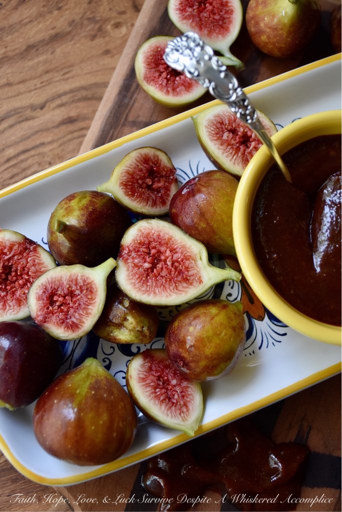 Sweet & Spicy Fresh Fig Barbecue Sauce - Sadly, fresh figs aren't available all year round. So, when they are in season, make sure to enjoy them as often as you can. And, for those times when you find that you have more fresh figs on hand than you can possibly eat, use some of them to make this sweet and spicy barbecue sauce. I highly suggest making an extra batch of this sauce to freeze as well, because you're definitely going to love having some to enjoy during the long winter months ahead.