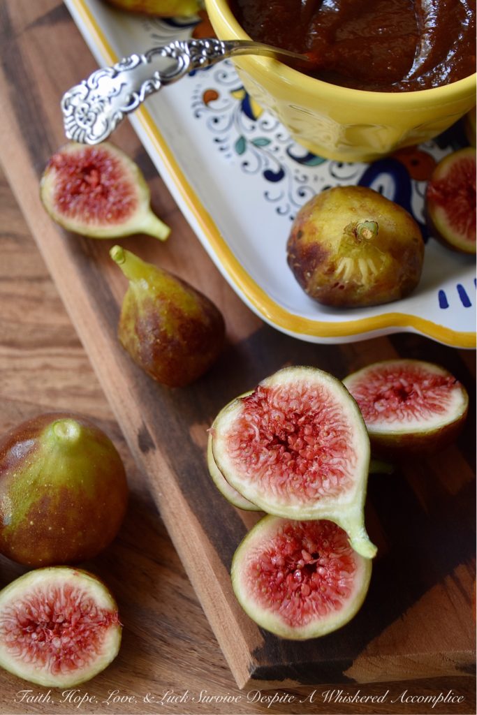 Sweet & Spicy Fresh Fig Barbecue Sauce - Sadly, fresh figs aren't available all year round. So, when they are in season, make sure to enjoy them as often as you can. And, for those times when you find that you have more fresh figs on hand than you can possibly eat, use some of them to make this sweet and spicy barbecue sauce. I highly suggest making an extra batch of this sauce to freeze as well, because you're definitely going to love having some to enjoy during the long winter months ahead.
