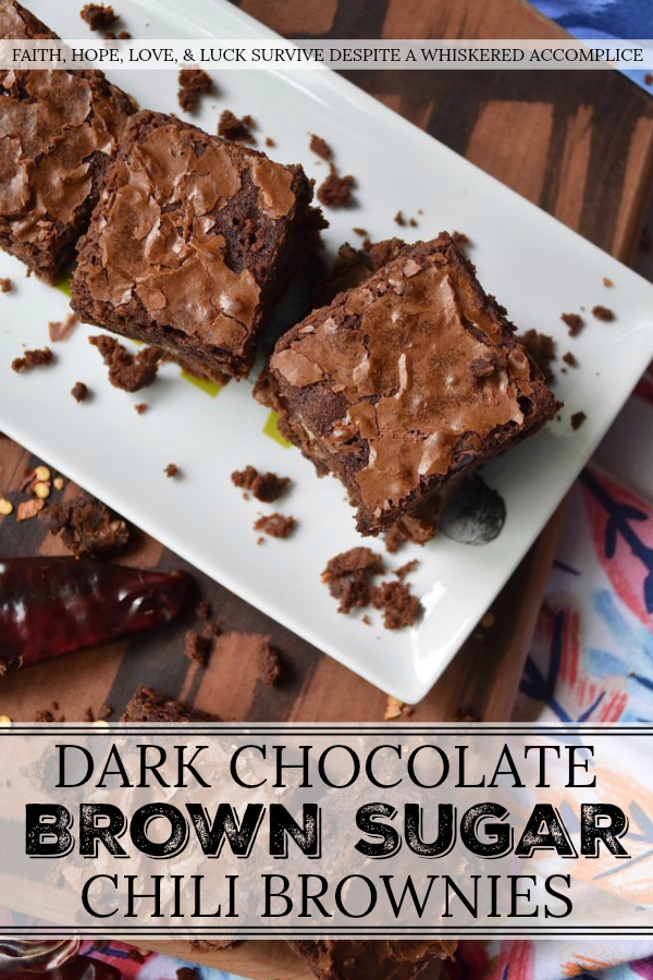 Dark Chocolate Brown Sugar Chili Brownies - Why make plain, dull, mediocre brownies, when instead, you can make dark chocolate brownies laced with chili and sweetened with brown sugar? They're super chocolatey, a wee bit spicy, and pretty much everything a chocolate-lover will find themselves drooling over.