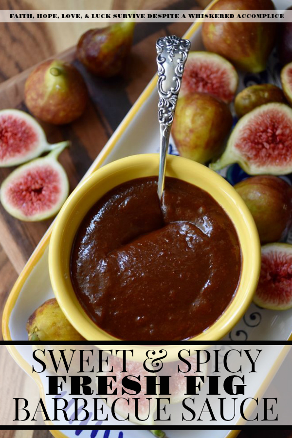 Sweet & Spicy Fresh Fig Barbecue Sauce - Sadly, fresh figs aren't available all year round. So, when they are in season, make sure to enjoy them as often as you can. And, for those times when you find that you have more fresh figs on hand than you can possibly eat, use some of them to make this sweet and spicy barbecue sauce. I highly suggest making an extra batch of this sauce to freeze as well, because you're definitely going to love having some to enjoy during the long winter months ahead.