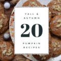 20 Fall & Autumn Pumpkin Recipes - Wondering what to do with that dusty can of pumpkin hiding on your back pantry shelf? Determined not to waste that festive holiday pumpkin you picked up at your local pumpkin patch? Well then, you're going to want to check out all of the recipes below because you have so many options to choose from. Whether you use that pumpkin to make a moist and fluffy cake, a savory side dish, a delicious entrée, melt in your mouth cookies, or a delightful sweet treat is all up to you. You really can't go wrong.