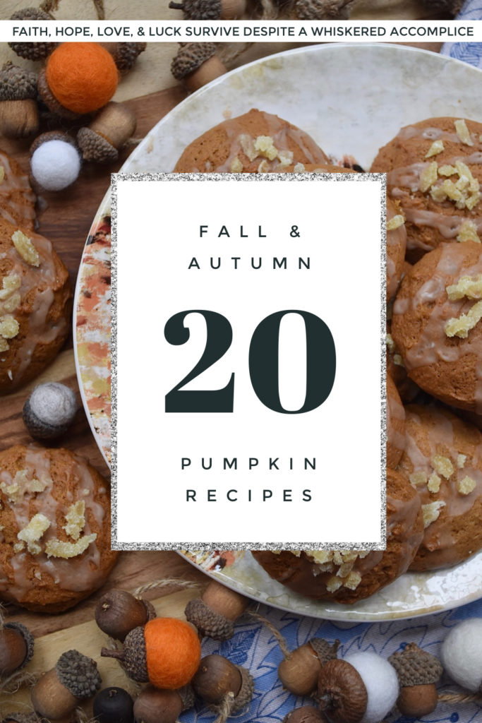 20 Fall & Autumn Pumpkin Recipes - Wondering what to do with that dusty can of pumpkin hiding on your back pantry shelf? Determined not to waste that festive holiday pumpkin you picked up at your local pumpkin patch? Well then, you're going to want to check out all of the recipes below because you have so many options to choose from. Whether you use that pumpkin to make a moist and fluffy cake, a savory side dish, a delicious entrée, melt in your mouth cookies, or a delightful sweet treat is all up to you. You really can't go wrong.