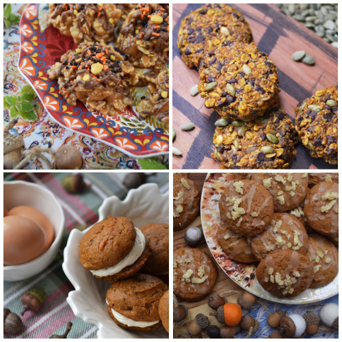 20 Fall & Autumn Pumpkin Recipes - Wondering what to do with that dusty can of pumpkin hiding on your back pantry shelf? Determined not to waste that festive holiday pumpkin you picked up at your local pumpkin patch? Well then, you're going to want to check out all of the recipes below because you have so many options to choose from. Whether you use that pumpkin to make a moist and fluffy cake, a savory side dish, a delicious entrée, melt in your mouth cookies, or a delightful sweet treat is all up to you. You really can't go wrong.