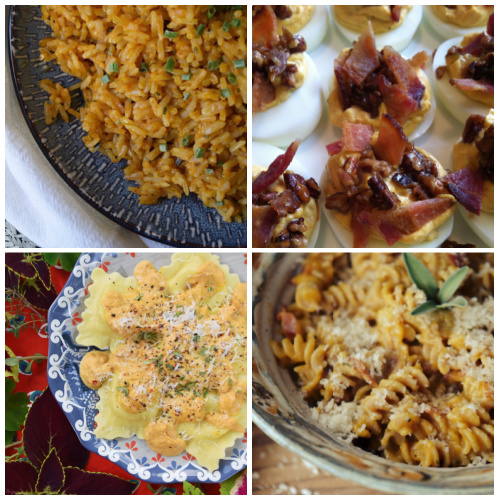 20 Fall & Autumn Pumpkin Recipes - Wondering what to do with that dusty can of pumpkin hiding on your back pantry shelf? Determined not to waste that festive holiday pumpkin you picked up at your local pumpkin patch? Well then, you're going to want to check out all of the recipes below because you have so many options to choose from. Whether you use that pumpkin to make a moist and fluffy cake, a savory side dish, a delicious entrée, melt in your mouth cookies, or a delightful sweet treat is all up to you. You really can't go wrong.