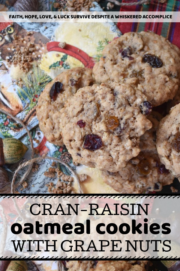 Cran-Raisin Oatmeal Cookies with Grape Nuts - Classic holiday cookies are often just that, simply because they are so classic. This recipe puts a new spin on the traditional and classic oatmeal cookie recipe by adding Grape Nuts cereal for added texture. If you're a real oatmeal cookie fan, then you are definitely going to love these oatmeal cookies, packed full of delicious dried sweetened cranberries and golden raisins.