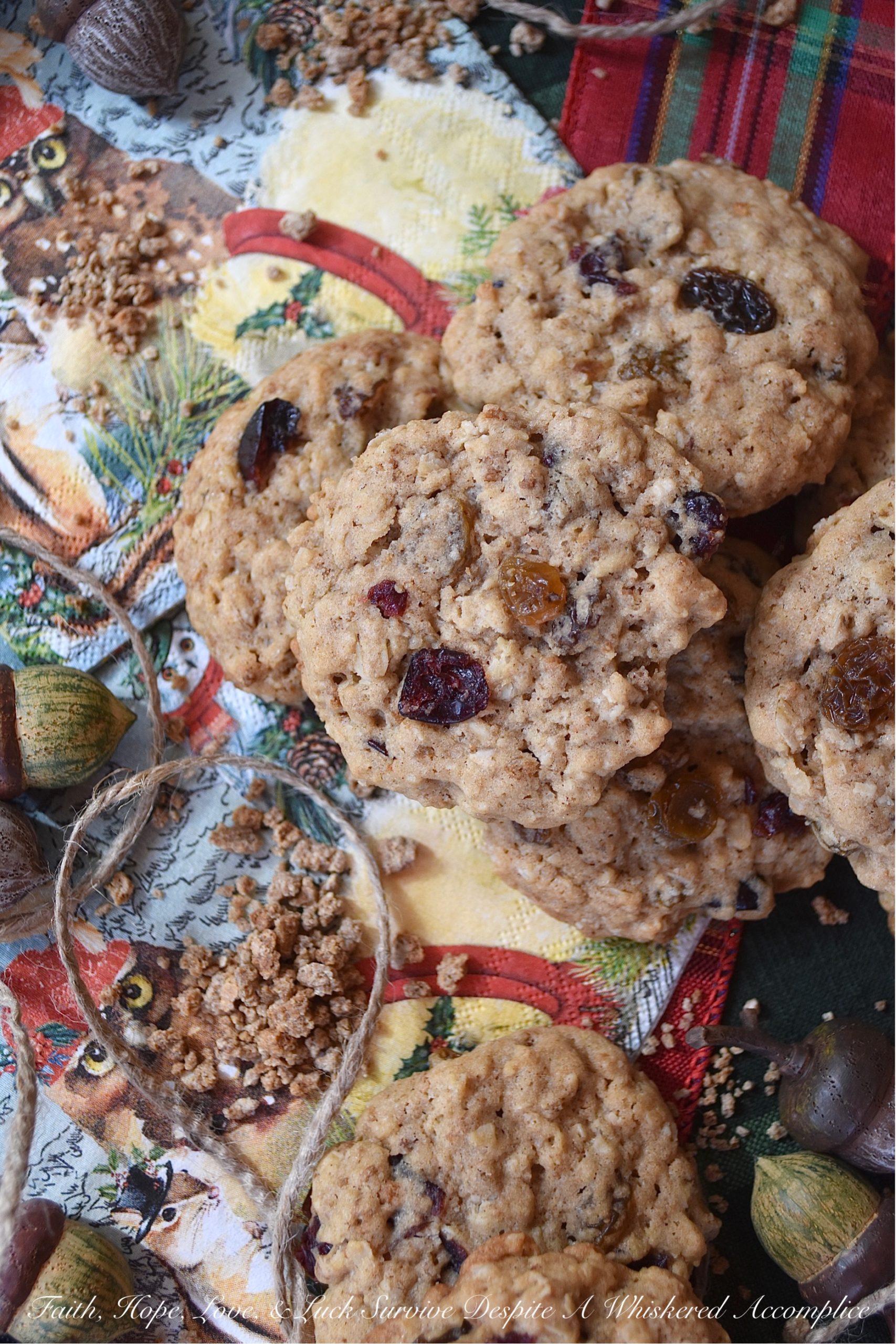 Cran-Raisin Oatmeal Cookies with Grape Nuts
