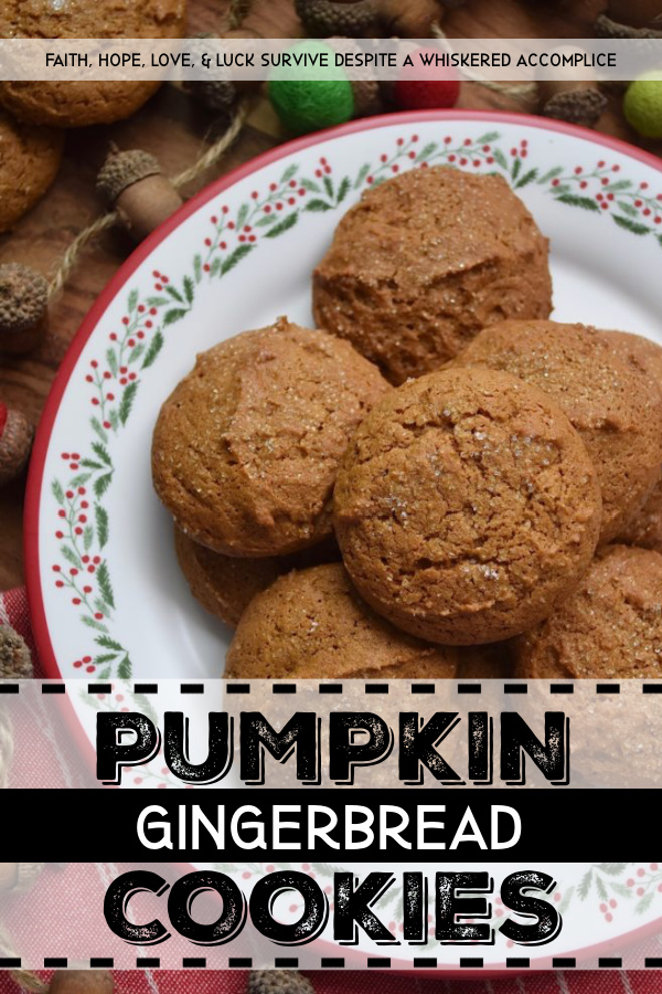 Pumpkin Gingerbread Cookies - Just because Thanksgiving is over, doesn't mean that you can't crack open a can of pumpkin to make a few Christmas cookies. And, when you use that canned pumpkin to make moist and chewy gingerbread cookies, well, I'm pretty sure that just about no one in this world is going to have anything bad to say about you combining holidays to make this flavorful, zesty, delicious, and festive sweet holiday treat.