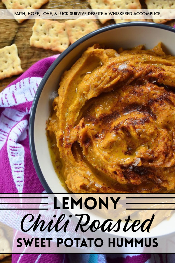 Lemony Chili Roasted Sweet Potato Hummus - Looking for a healthy appetizer recipe with tons of flavor? Instead of snacking on traditional garbanzo bean or chickpea hummus, why not liven it up with the addition of a roasted sweet potato? A little bit of chili powder and fresh lemon juice help to balance everything out, with just a touch of honey for sweetness. You'll definitely love dipping crackers, bread, or even fresh vegetables into this delicious lemony hummus.