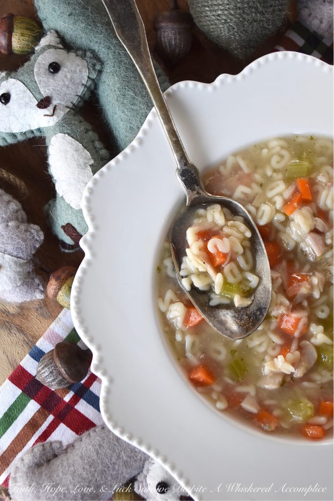Rotisserie Chicken Alphabet Soup - Everyone has their favorite childhood soup, which they often turn to when they are in need of serious comfort. For me, that soup is definitely chicken noodle soup made with alphabet pasta. A few carrots, some celery, a store-bought rotisserie chicken, and a few herbs and spices are all that is needed to make this delicious, healthy, and comforting rotisserie chicken alphabet soup.