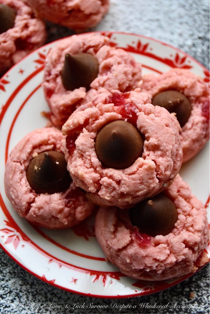 Vanilla Bean Cherry Chocolate Kiss Cookies - Looking for a sweet festive cookie to share with your loved one this Valentine's Day? These maraschino cherry cookies contain not just vanilla extract but also the seeds from two vanilla bean pods, making them a vanilla lover's dream come true. Add a chocolate kiss on top of each cookie for the ultimate treat to show your sweetheart just how much you love them.