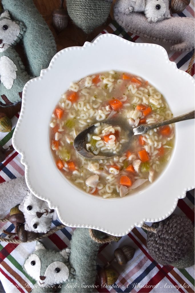 Rotisserie Chicken Alphabet Soup - Everyone has their favorite childhood soup, which they often turn to when they are in need of serious comfort. For me, that soup is definitely chicken noodle soup made with alphabet pasta. A few carrots, some celery, a store-bought rotisserie chicken, and a few herbs and spices are all that is needed to make this delicious, healthy, and comforting rotisserie chicken alphabet soup.