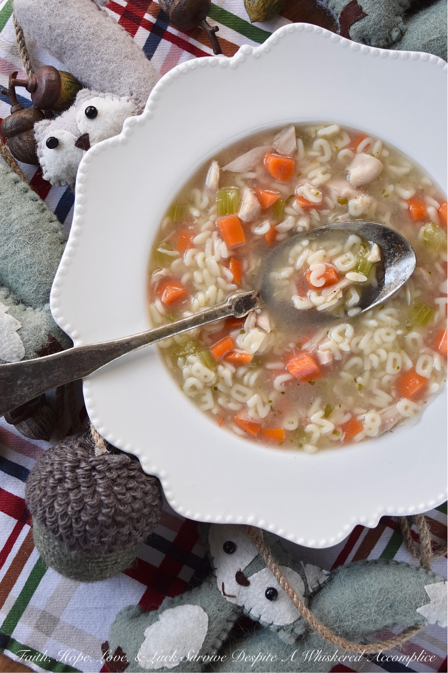 Rotisserie Chicken Alphabet Soup