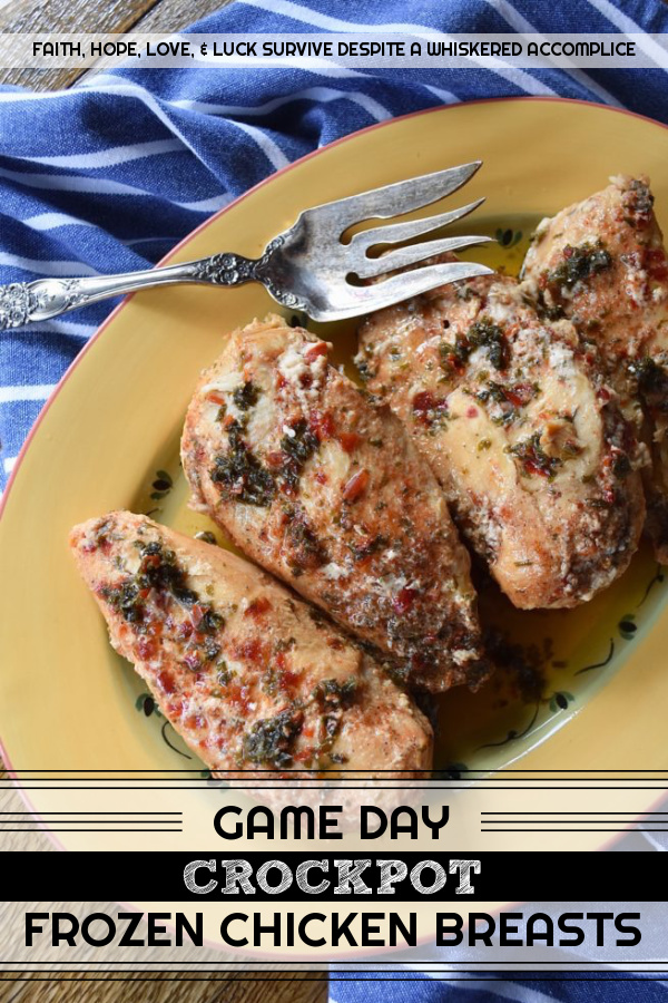 Game Day Crockpot Frozen Chicken Breasts - When it comes to watching football, I think we can all agree that snacks are an absolute necessity. And with this toss-it-all-in, easy, make-ahead crockpot frozen chicken breast recipe, game-day snacks are about to become even tastier. After slow-cooking in a beer and red pepper jelly mixture for four hours, these frozen chicken breasts are shredded and returned to their cooking liquid. You can then use the shredded meat in your favorite tacos, quesadillas, sandwiches, or game day appetizers.