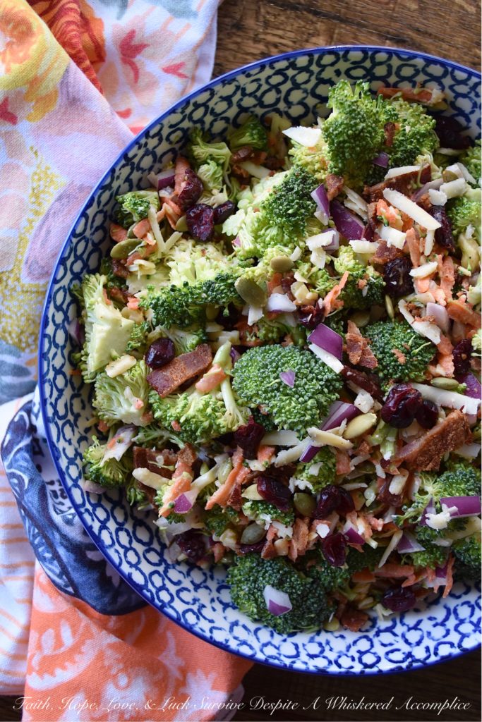 Irish Cheddar Honey Mustard Broccoli Salad - This is not your ordinary broccoli salad; it's not drenched in a fattening and over-powering dressing. Instead, it's sweet, salty, and loaded with crunchy vegetable goodness. This is the type of broccoli salad you can eat every single night without feeling even the tiniest bit guilty. With this broccoli salad, the fresh crunchy broccoli is definitely the star of the show.