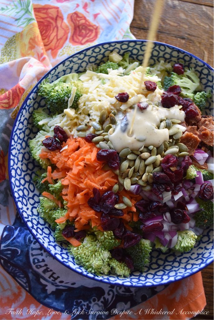 Irish Cheddar Honey Mustard Broccoli Salad - This is not your ordinary broccoli salad; it's not drenched in a fattening and over-powering dressing. Instead, it's sweet, salty, and loaded with crunchy vegetable goodness. This is the type of broccoli salad you can eat every single night without feeling even the tiniest bit guilty. With this broccoli salad, the fresh crunchy broccoli is definitely the star of the show.