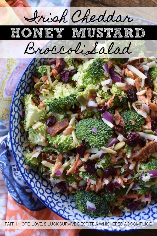 Irish Cheddar Honey Mustard Broccoli Salad - This is not your ordinary broccoli salad; it's not drenched in a fattening and over-powering dressing. Instead, it's sweet, salty, and loaded with crunchy vegetable goodness. This is the type of broccoli salad you can eat every single night without feeling even the tiniest bit guilty. With this broccoli salad, the fresh crunchy broccoli is definitely the star of the show.