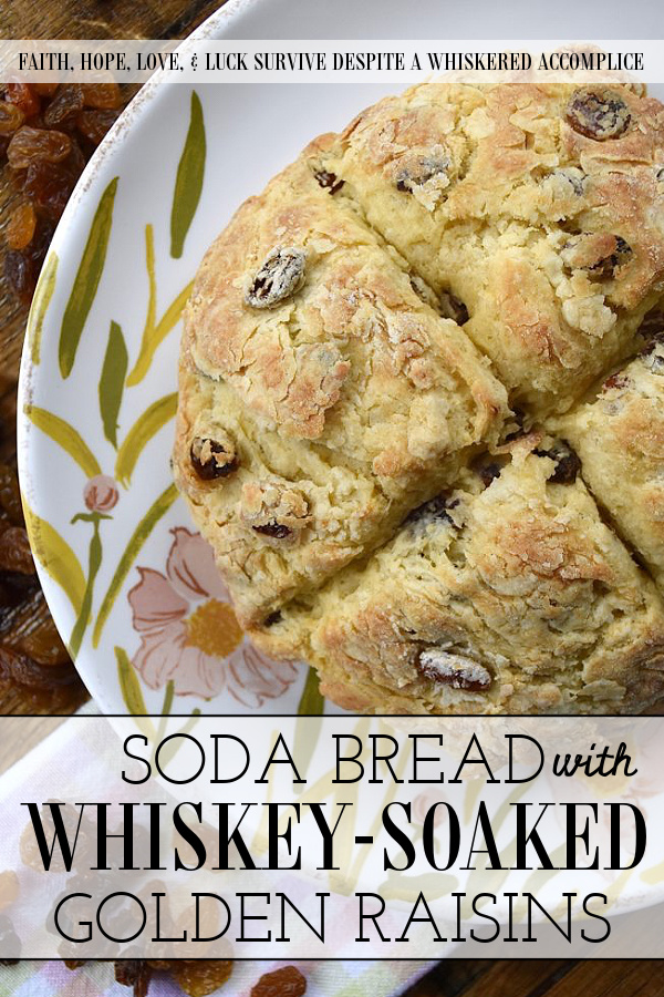 Soda Bread with Whiskey-Soaked Golden Raisins - If you're not overly confident when it comes to baking your own homemade bread, soda bread is a great recipe to start with. It requires no yeast, is quick to make and bake, uses common household pantry and refrigerator items, and is the perfect complement to almost any meal. And, this particular soda bread, with its whiskey-soaked golden raisins, is sure to have you baking bread every single chance you get.