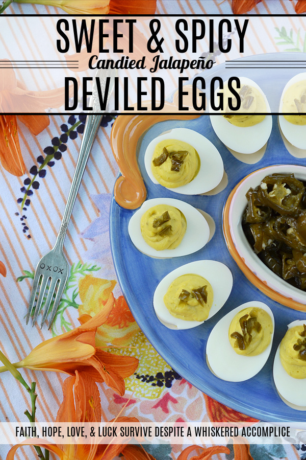 Sweet & Spicy Candied Jalapeño Deviled Eggs - These amazing deviled eggs are a little bit sweet and a little bit spicy, thanks to the addition of finely chopped candied sliced jalapeños. And, whether or not you make your own candied jalapeño slices or buy them from your local market, these eggs will definitely make a great addition to your next cookout, picnic, or family gathering.