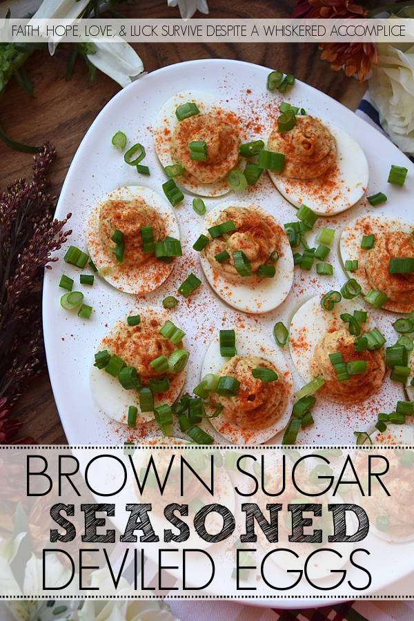 Brown Sugar Seasoned Deviled Eggs - It doesn't take much to turn an ordinary everyday deviled egg into something truly quite remarkable. A few common pantry seasonings, like celery seed, chili powder, sweet paprika, ground cumin, onion powder, salt, and pepper can really make a dramatic difference when combined with a little bit of light brown sugar and mayonnaise. So, the next time you're craving deviled eggs, definitely give this sweet and flavorful appetizer recipe a go.